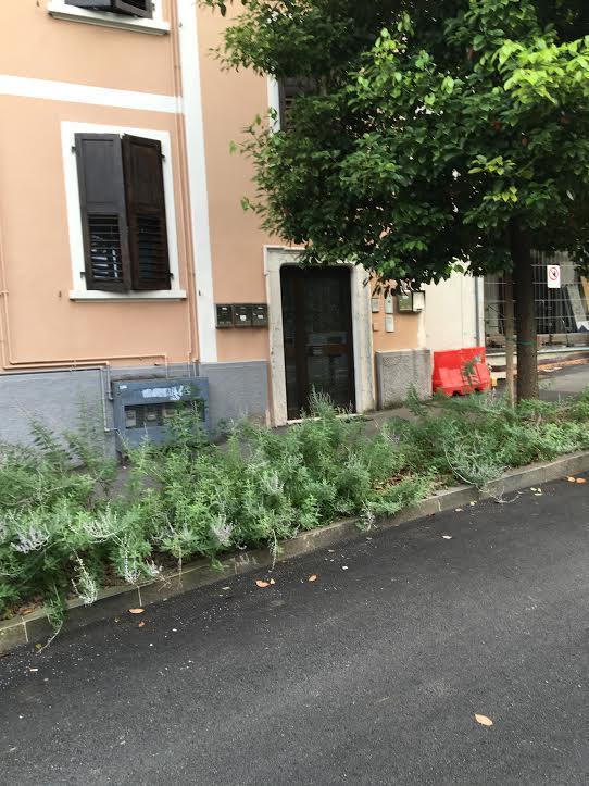 Appartamento I Sentieri 23 Riva del Garda Kültér fotó
